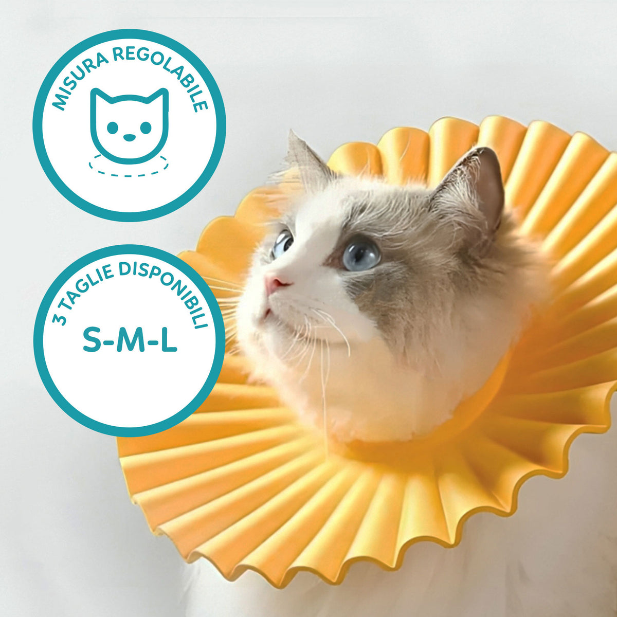 AQPET FRIENDS Soft Elizabethan Collar for Cats, Pets, Flexible and Lightweight Plastic, Double Layer, Adjustable and Comfortable, Post-Operative and Wound Protection