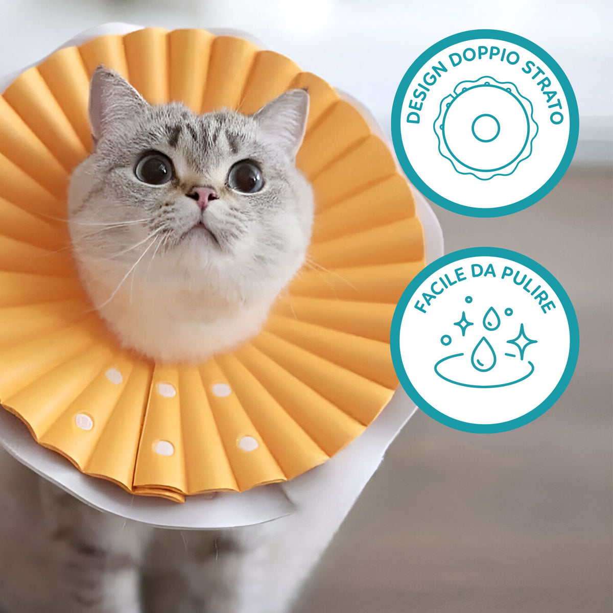 AQPET FRIENDS Soft Elizabethan Collar for Cats, Pets, Flexible and Lightweight Plastic, Double Layer, Adjustable and Comfortable, Post-Operative and Wound Protection