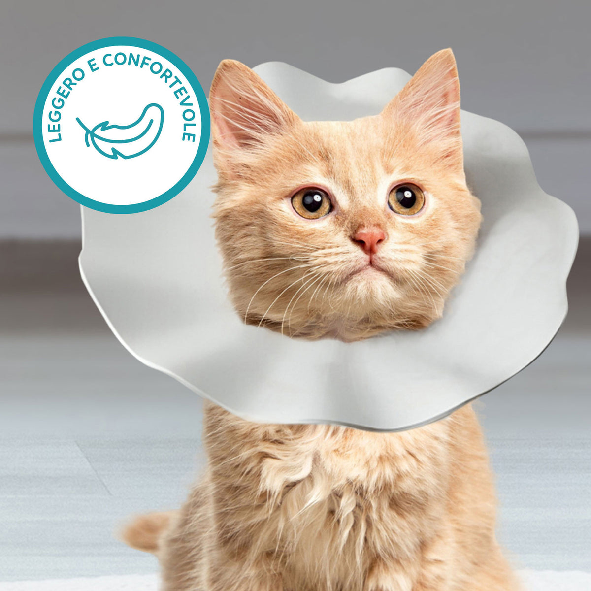 AQPET FRIENDS Soft Elizabethan Collar for Cats, Pets, Flexible and Lightweight Plastic, Double Layer, Adjustable and Comfortable, Post-Operative and Wound Protection
