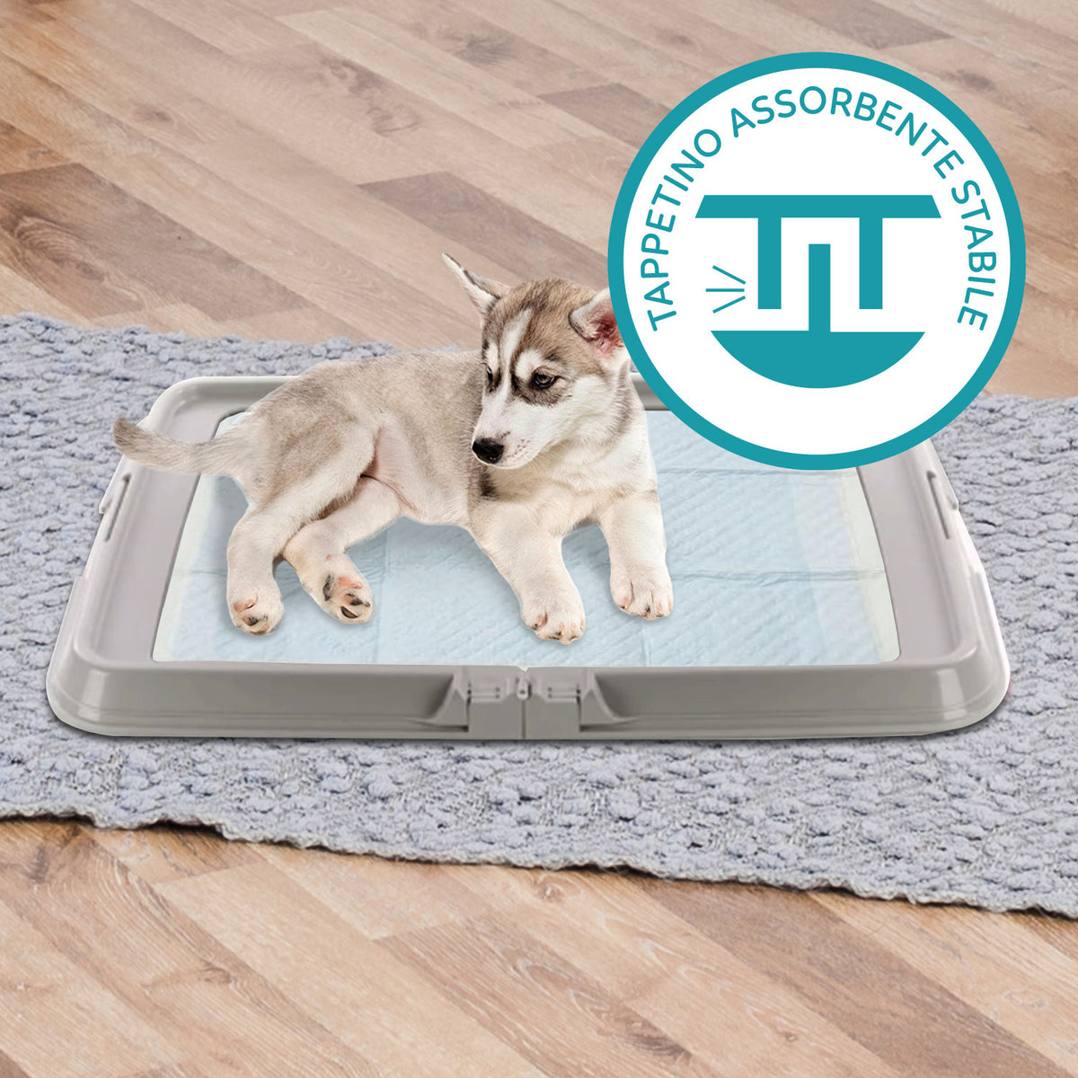 AQPET FRIENDS Lettiera per Cani, Toilette Pieghevole 86x62 cm, Vassoio Porta Tappetini Assorbenti, Ideale per Addestramento Cuccioli e Uso in Casa