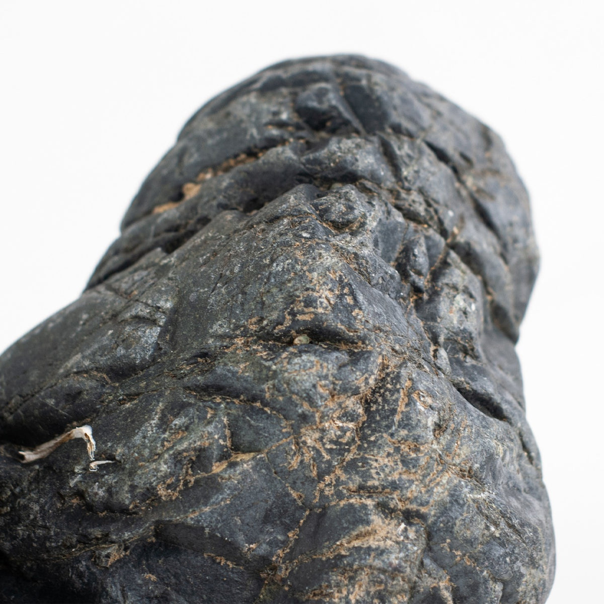 AQPET ZEN STONE ROCKS GOTLAND STONE (PACK 10KG MIXED)