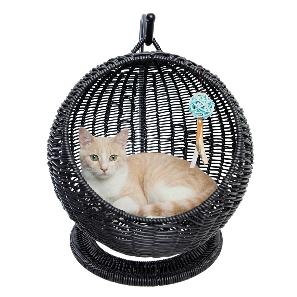 AQPET FRIENDS Morfeo Cuccia sospesa per Gatti Gattini in Vimini intrecciato a Mano con Cuscino Mordbido Incluso, Colore Nero, 46x62 cm